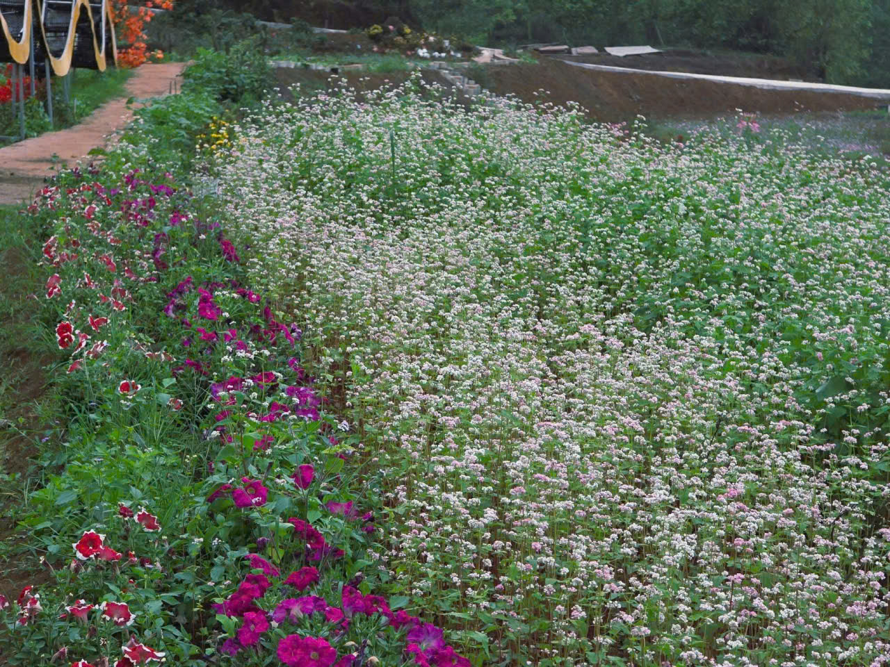 z7462310067338_b2179086f5839adc65842a554b9c2ab2