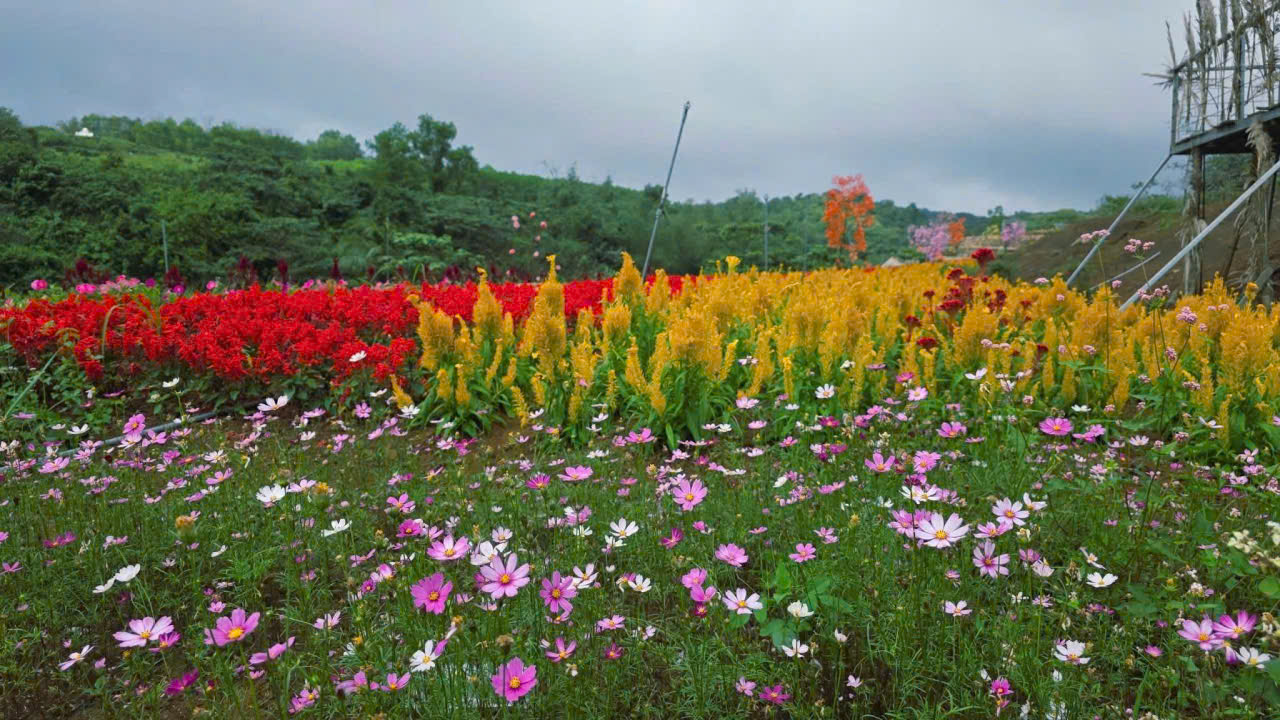 z7462310078108_ce5c712ad1c54b69c4d16a809d456423