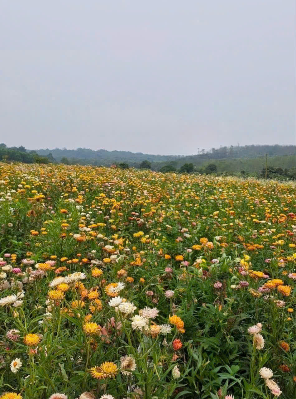 z7462329178401_77fad7fae2f65d4d402b7c2f00d0e16b