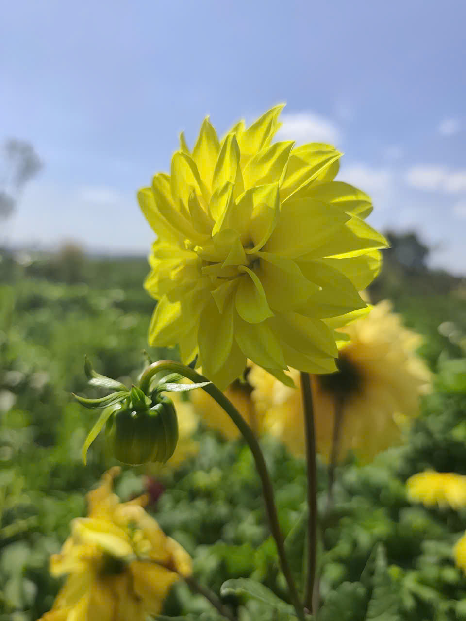 z7476442167974_5515f979d3b19f319b3687778131fe97