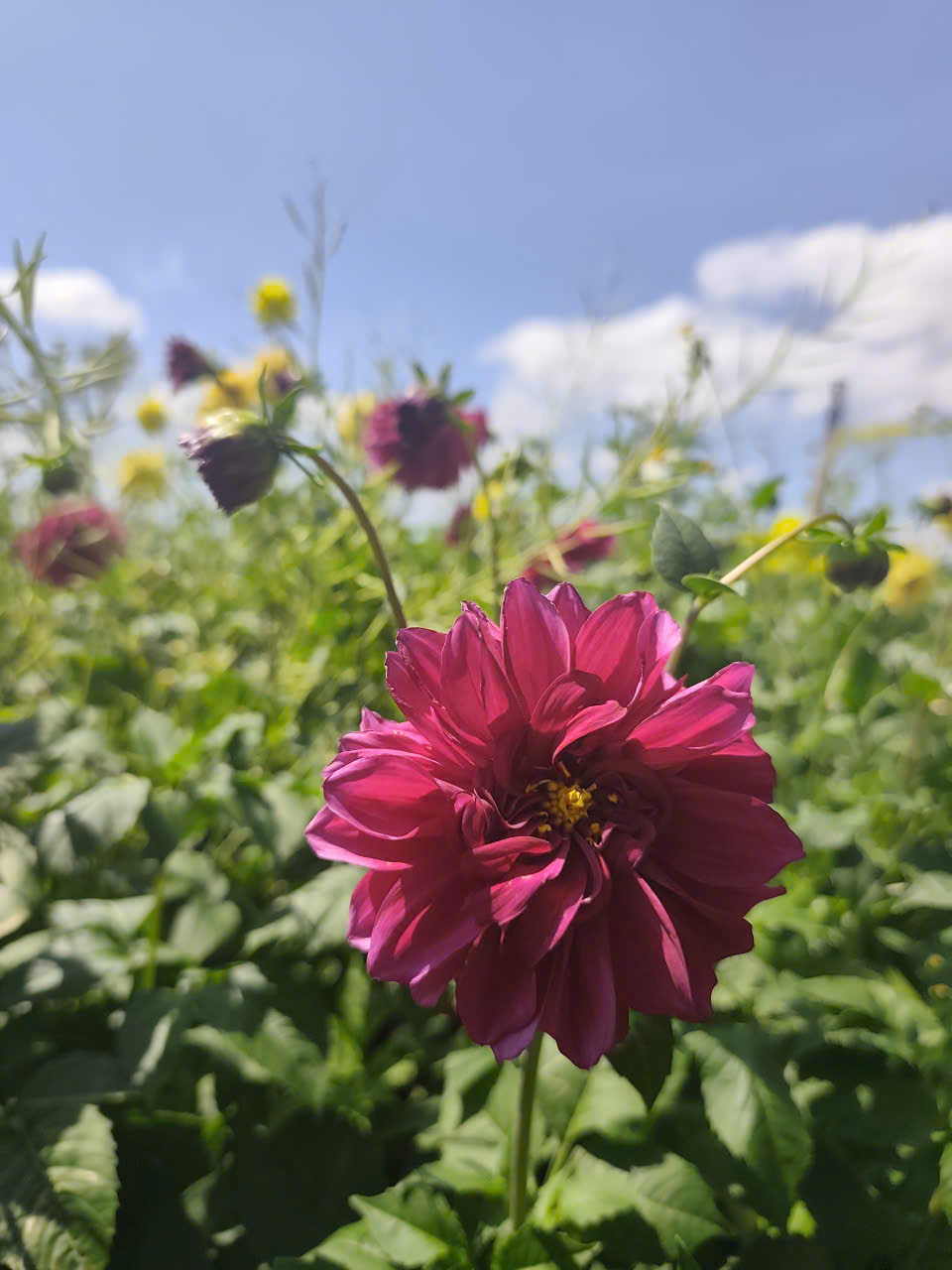 z7476442184928_cf8da99f53c22c8ff3253e8be3502746