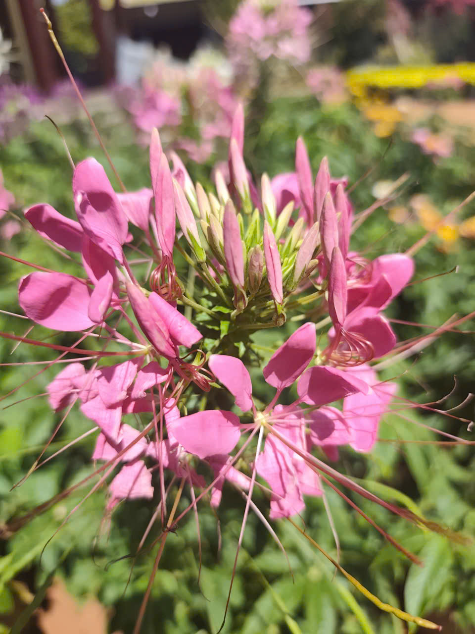 z7476442211021_030d130c30b8c7f1c9e3f68c77457d22