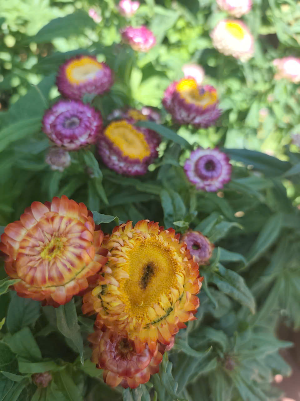 z7476442211022_f11af9989742353b9158acb2badba83d