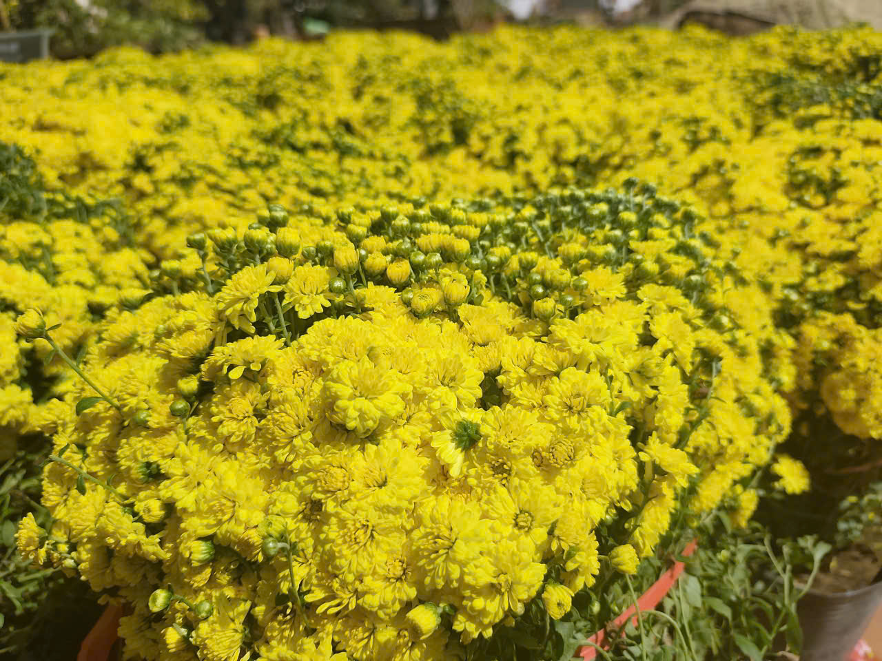 z7476487647508_94641a66baba718e83de7c33f7574e55