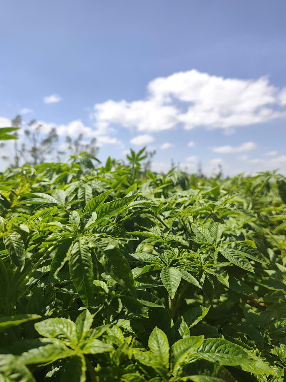 z7476487661902_7c3ca79b4d3a05e3dfe77bb4b1d35a4d